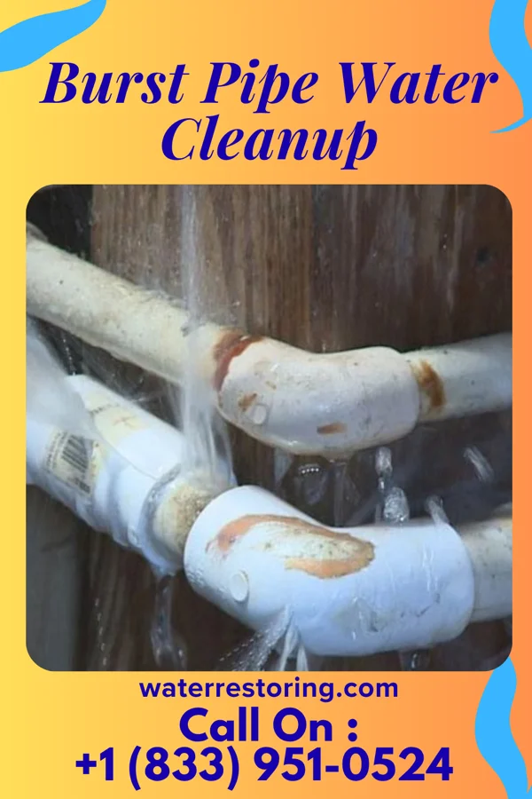Burst Pipe Water Cleanup in Lakewood Shores, IL