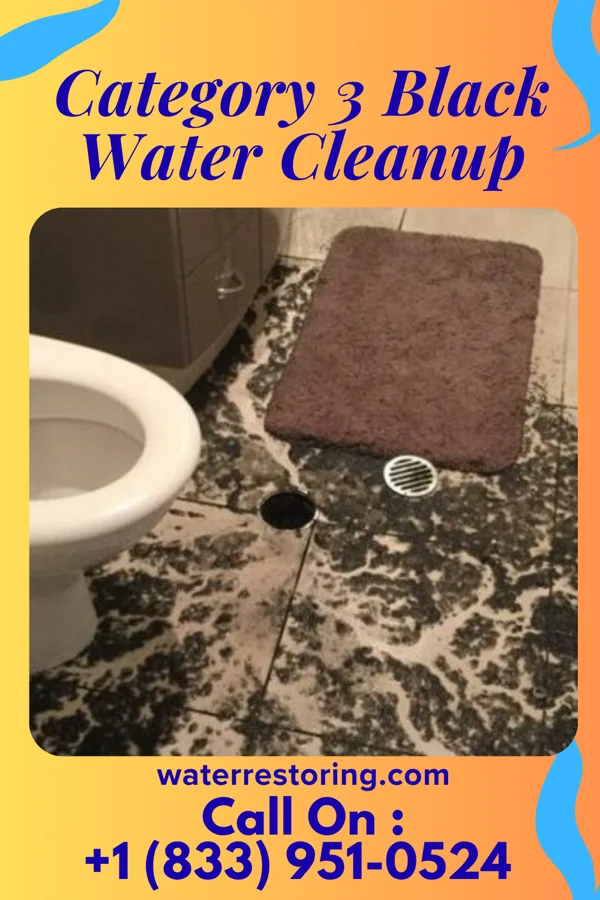 Category 3 Black Water Cleanup in Lakewood Shores, IL