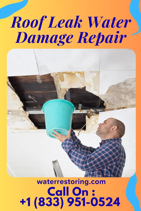Roof Leak Water Damage Repair in Lakewood Shores, IL