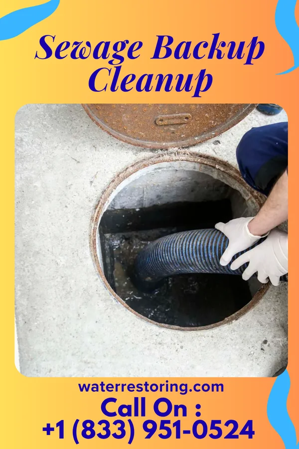 Sewage Backup Cleanup in Lakewood Shores, IL